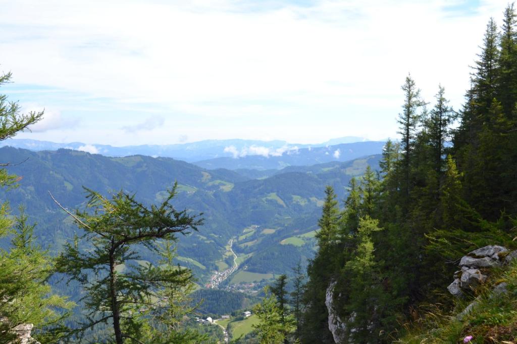Pension Schweiger room 6